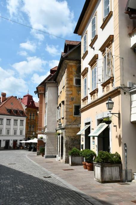 Stairway To Ljubljana Apartment Екстер'єр фото